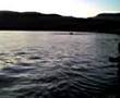 sprintboat