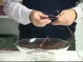 FR Presents: How To Create a Modern Floral Design or Centerpiece