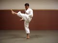 Kururunfa - Shito Ryu Kururunfa - Shito Ryu