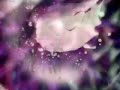 chapter 01-01