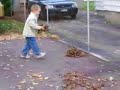 Justin & les Feuilles