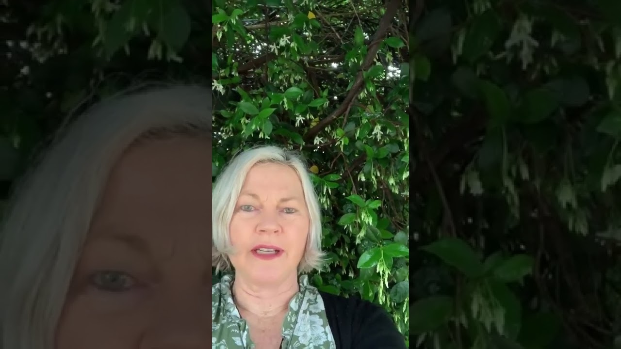 Nikki talks about her Workshop Experience