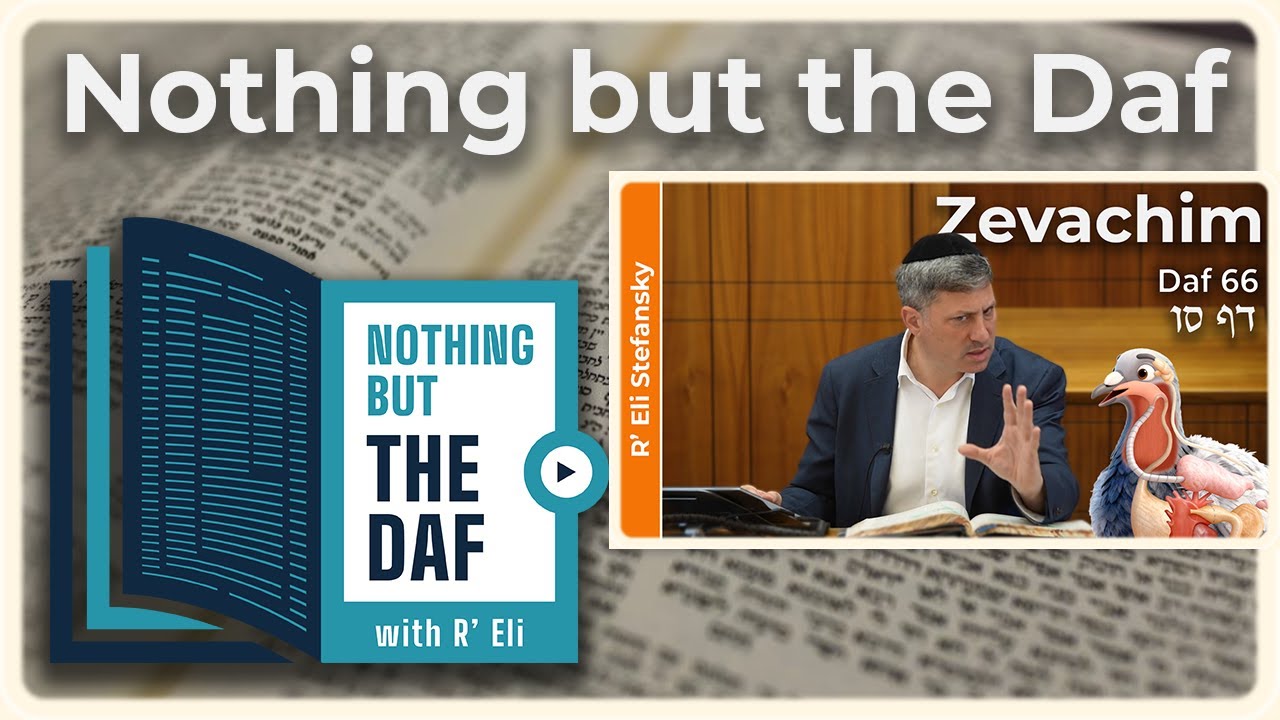 CHAZARAH – Zevachim Daf 66 | "Nothing but the Daf" with R' Eli Stefansky