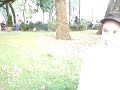 Eu, Nim e os esquilos II