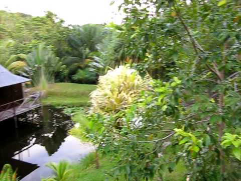 Video of TreeTops Lodge