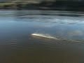 RC Boat H&M Redbird brushless