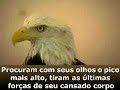 reflexão sobre si