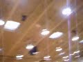 Drums Pep Rally