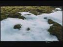 Driftwood - Icarus Jones