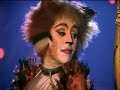 Miss Independent (Tugger/Bombalurina) Miss Independent (Tugger/Bombalurina)