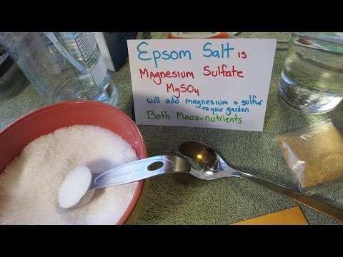 how to fertilize plants with epsom salts