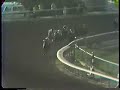 1978 Santa Anita Handicap