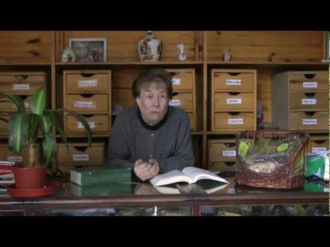 Ver video