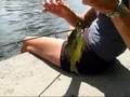 Fenelon Falls: The waterfalls & catching some sunfish