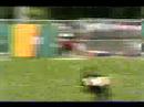 High School Softball 1996-Moline vs. Glenbard North