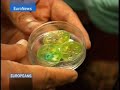 Le coton génétiquement modifié. C'est le choix qu'ont fait de nombreux cultivateurs indiens avec l'aval des autorités. Cinq ans après son autorisation, quels sont les bénéfices économiques, mais aussi les risques encourus ?