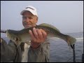 Tampa Bay Fishing Summer 2007 by apollobeachsam Tampa Bay Fishing Summer 2007 by apollobeachsam