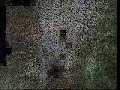 XxTheFunnyVideosxX: Funny Cat Videos