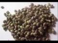 Weed-Smoking Acousic Track (instrumental)