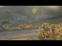 le bonheur est dans les vignes le bonheur est dans les vignes