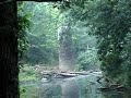 moonville tunnel, and surrounding areas.  raccoon creek, and the area where the old bridge used to be. this is at about 6-8am in either may or june of 07 i believe. we ended up staying the night there, and this was recorded the following morning