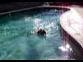 Jazz%20Pool%20Diving%203%2C%20Aug%202002