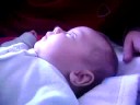 Mi chancho Hermoso