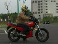 play video