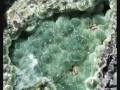 Arkansas Mineral Green Wavellite / Rockhounding Mining
