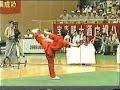Yuan Wen Qing Changquan 1997 Yuan Wen Qing Changquan 1997