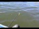 More Bassin Alabama In February More Bassin Alabama In February
