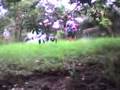 videos de Filipe mongol