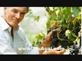 TruAcai 100% Pure Cert. Organic Acai Juice