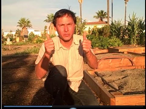 Garden tips - John from http://www.growingyourgreens.com/ goes on a field trip to the Corona Community to share with you the 3 tips to grow the most productive community (...
