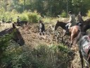 John hunts Stag with Rallye Trois For�ts