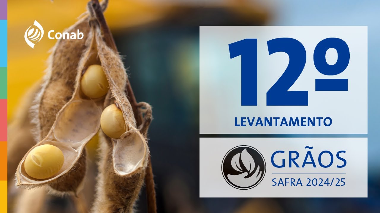 12º Levantamento da Safra de Grãos 2024/2025