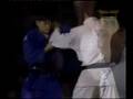 Jeon - Korean Judo Master