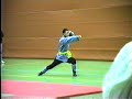 shaolin style form shaolin style form