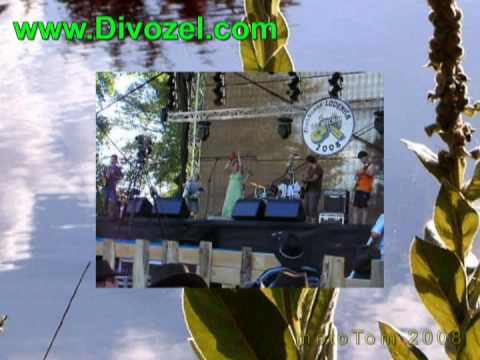 Youtube Video Zr64t5cC9h4
