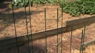 Folding Plant Supports