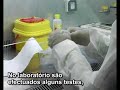 Criopreservação Criopreservação