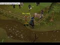 Shimer's ranging/mage guide!