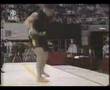 Sanshou: Striker VS Grappler