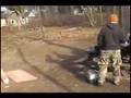 The Last RC Truck Bash: Part 2 - Evaders, Revo, and T-Maxx