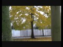 Autumn Walk Vlog - Watch In Higher Quality