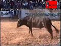 RANCHO LA ESTRELLA EN IRATZIO