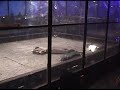 Combots GDC - MW Rumble