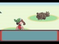 I choose you, Mudkip!