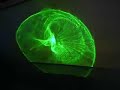 Green laser vs Rubik\