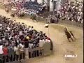 Palio di Siena - 16 Agosto 2002 - Tartuca
